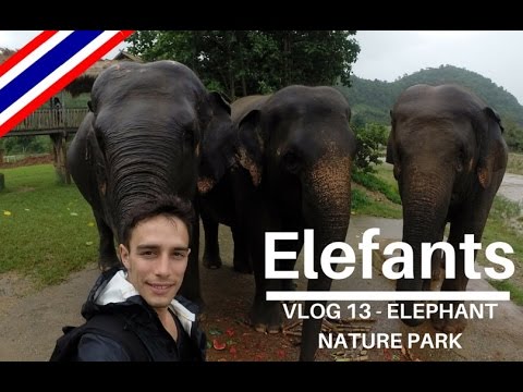La reserva d'Elefants - Vlog 13 de La Motxilla d'en Gil