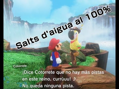 1#Regne dels Salts D'aigua en Català per Nintendo Switch! #youtuberscatalans de Mironet1