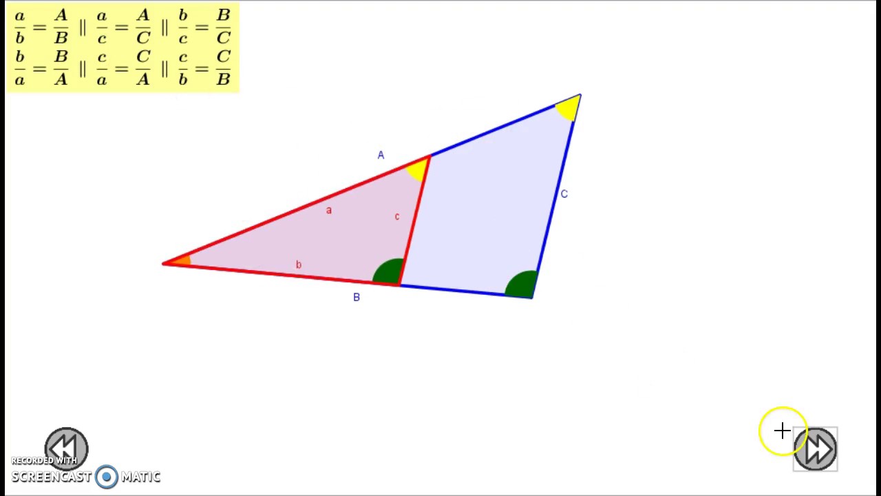 01. Raons trigonomètriques d'un angle agut de Ricard Agudo Molano
