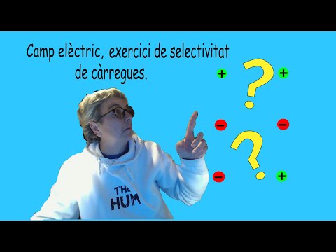 Exercici de Selectivitat de Camp elèctric (càrrgues) de Esther Cuevas