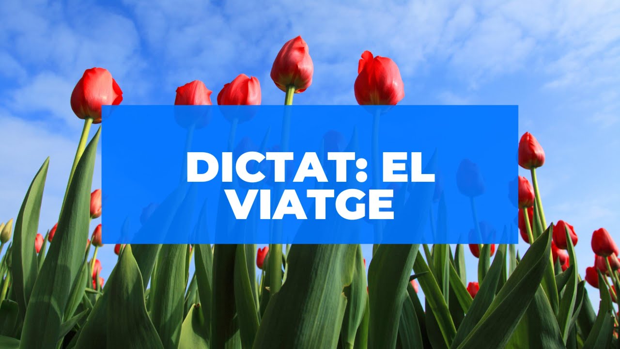 Dictat: el viatge de Aprén valencià en línia