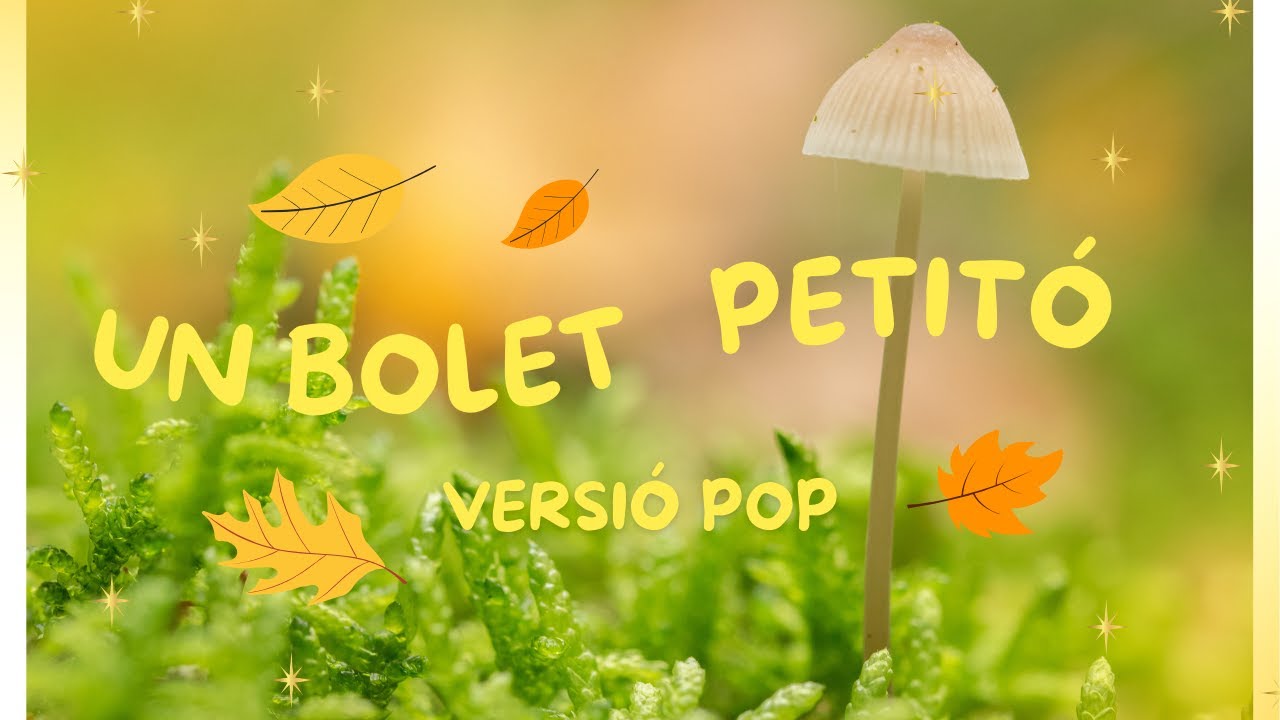 BOLET PETITÓ VERSIÓ POP de MUSIQUETES. Cançons infantils en català