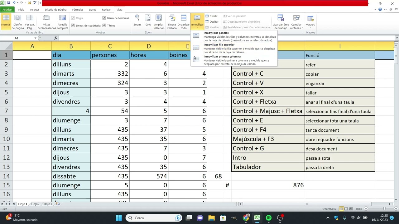 Com fixar una filera o columna per deixar-la inmòbil en un Excel de Xavier Àgueda COMPETIC