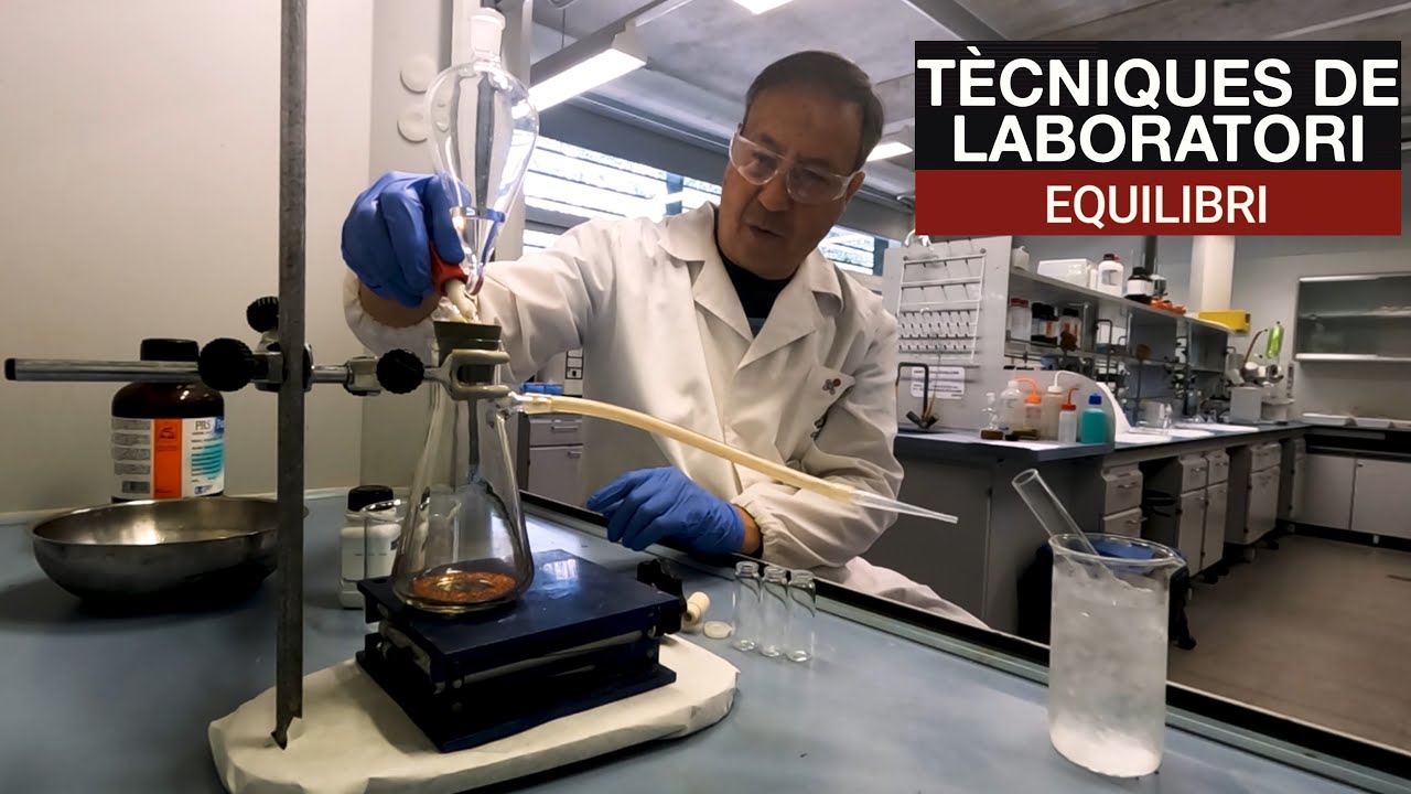 Tècniques de Laboratori: Equilibri Químic de Josep Duran