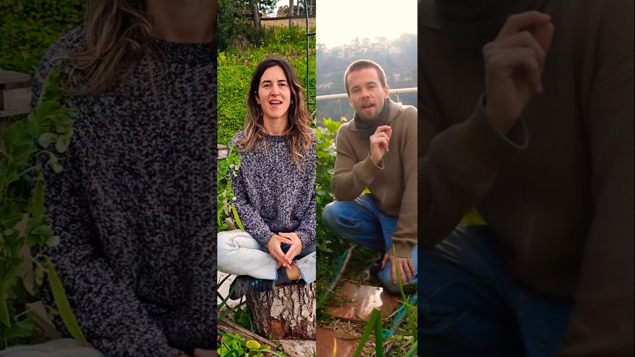 SEMBREM UNA LLAVOR JUNTS | Col·laboració amb LA TERRAPÈUTICA de Hort Urbà al Balcó