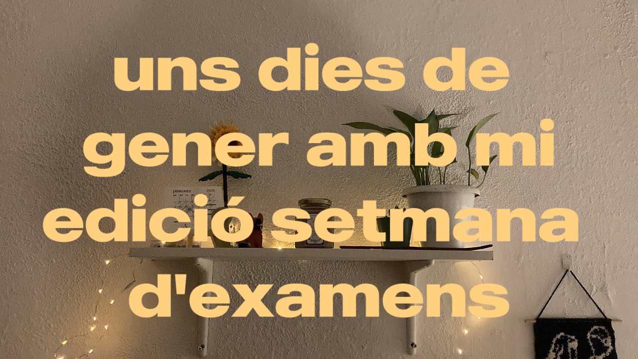 uns dies de gener amb mi pt. 2 || acompanya'm en una setmana d'examens de siobhan