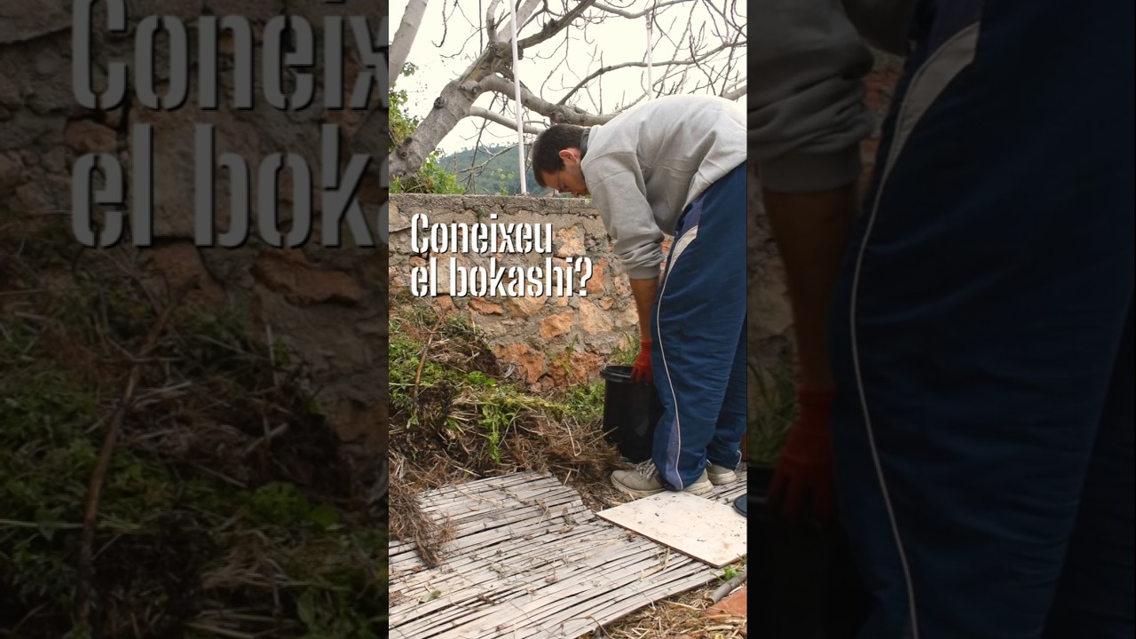 🦠 Coneixeu el Bokashi? 🍄 de Hort Urbà al Balcó