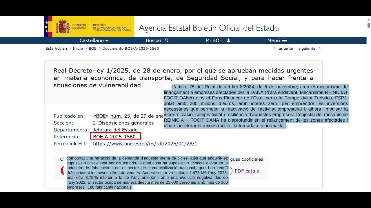 BOE-A-2025-1560 APROVAT, HI HA DOS PUNTS QUE A MI ENCARA GRINYOLEN (ESTAVEN EN L'ANTERIOR). de Emilio López