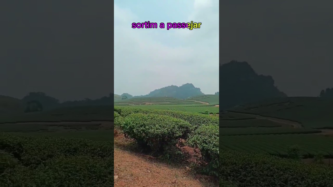 MOC CHAU (Vietnam), tea plantations, rice fields and unexpected waterfalls de Pels Camins del Món