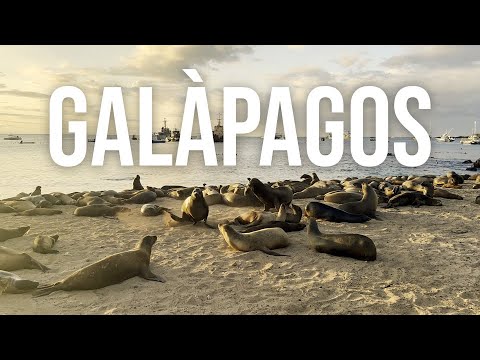 GALÀPAGOS, les illes de l'evolució | VOLA I VIU de VOLA I VIU