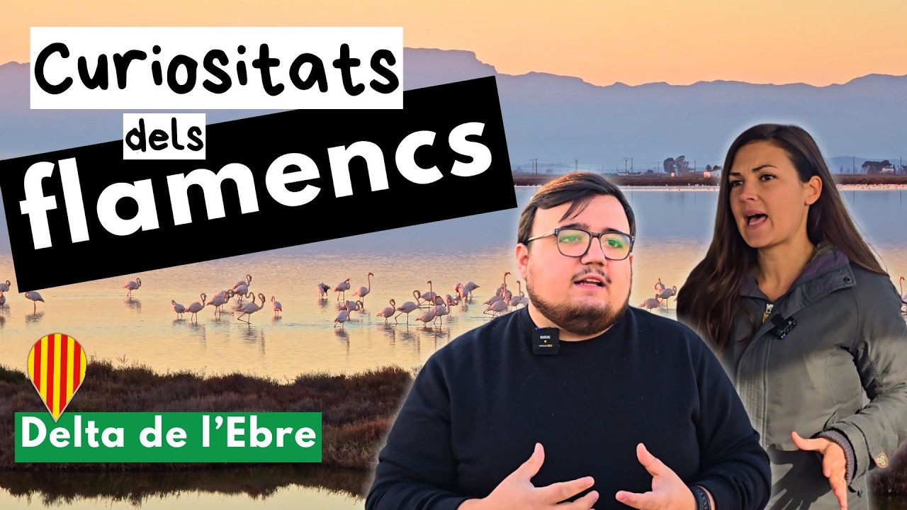 Els flamencs del Delta de l’Ebre 🦩 Descobreix tots els seus secrets! de Parlem d'escriure en català