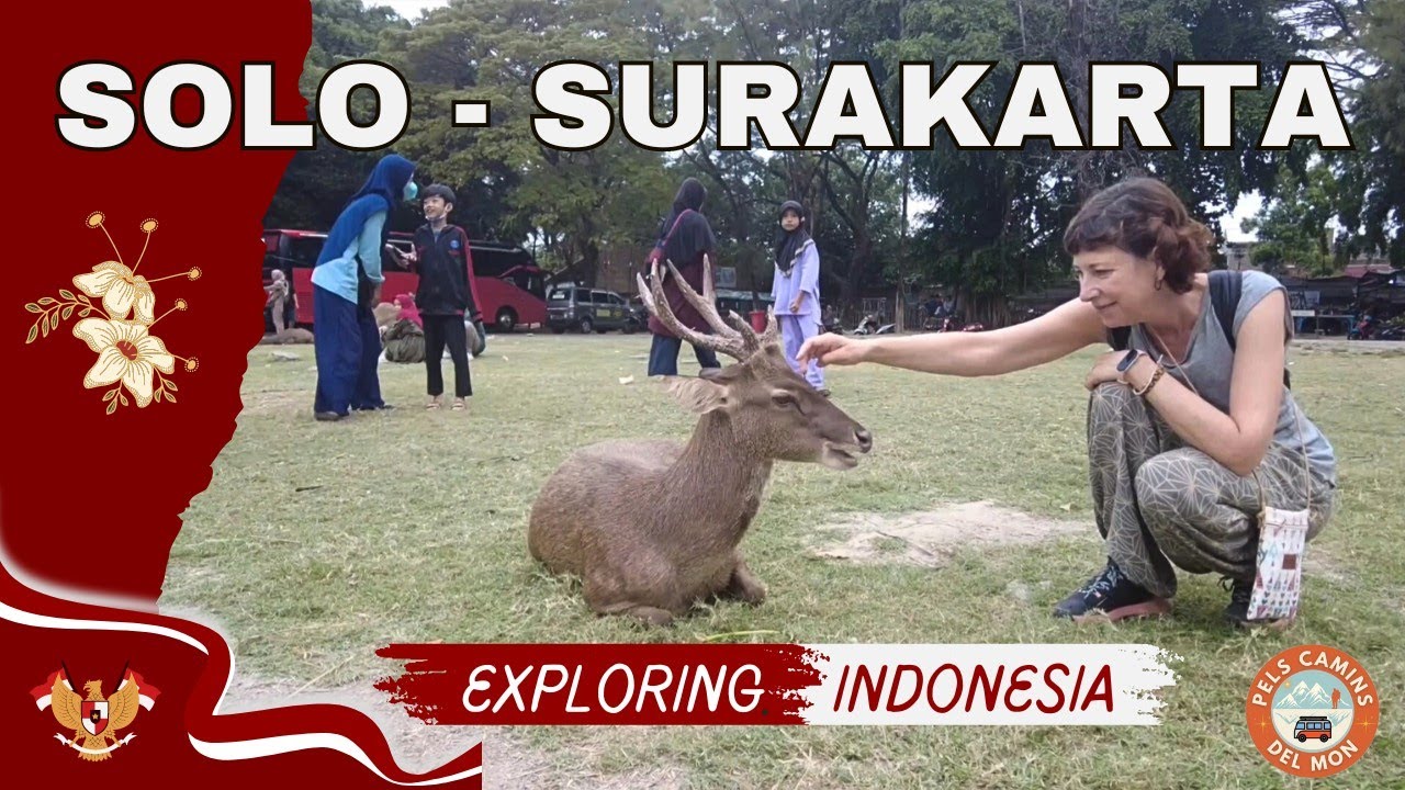 #38 SOLO (Surakarta). CÉRVOLS al parc i visita dels barris antics. de Pels Camins del Món