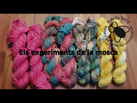 Els experiments de la mosca - Experiment 1: tenyim llana amb colorants alimentaris de Em fa feliç