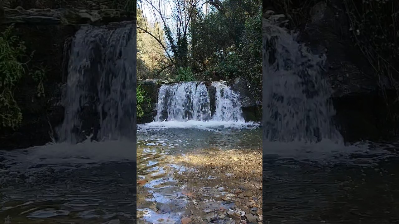 El curs de l'aigua part del camí de la vida de Esteve Rovira