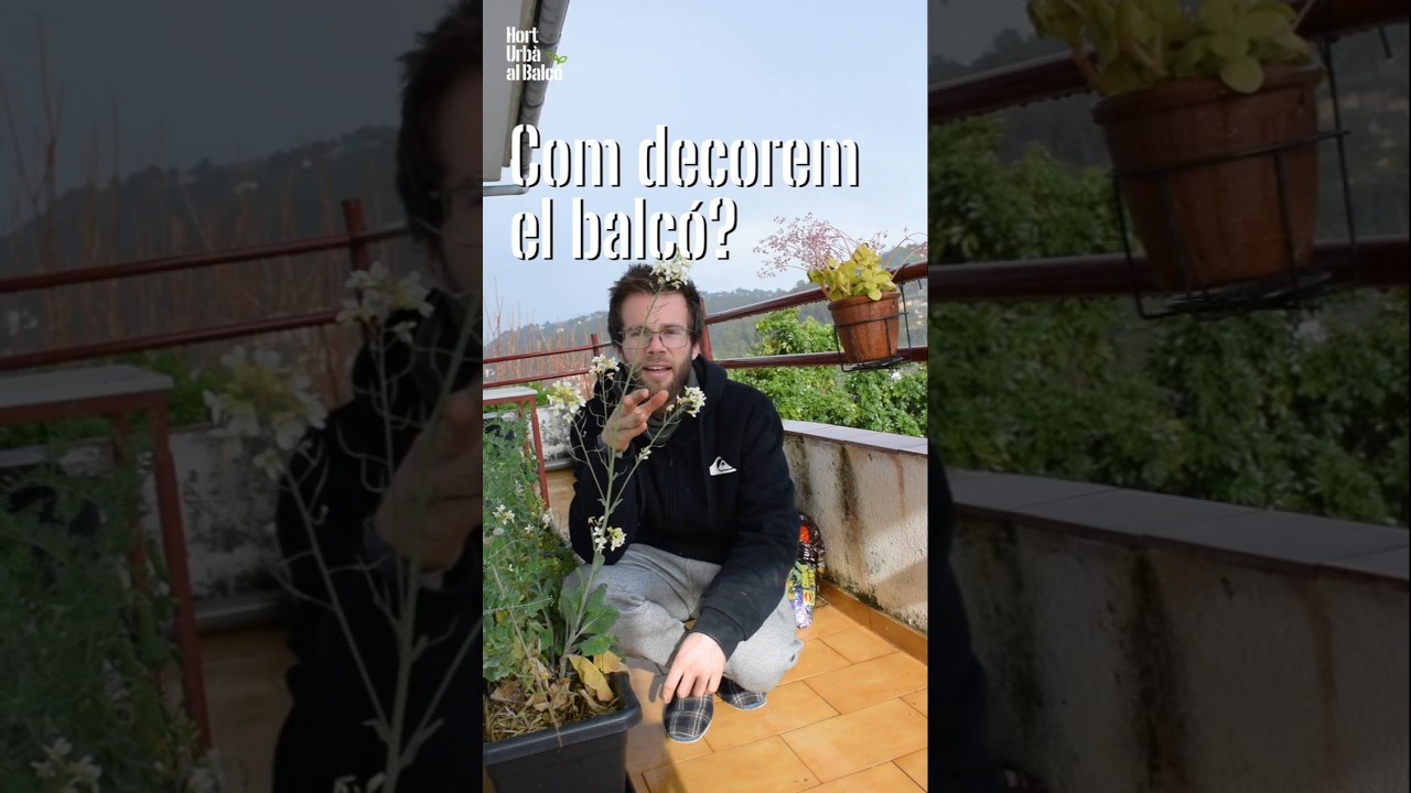 COM DECOREM EL BALCÓ? | Flors de verdures per decorar el nostre hort al balcó de Hort Urbà al Balcó