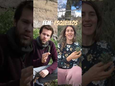 22 de març de 2025 de Hort Urbà al Balcó
