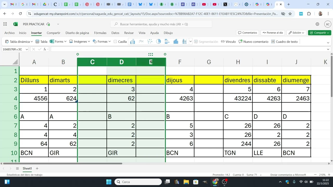 Com inserir i eliminar files i columnes amb Excel de Xavier Àgueda COMPETIC