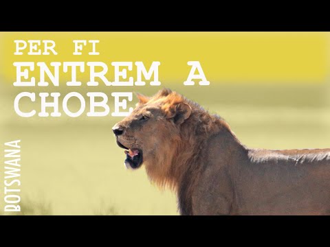 Visitar el PN Chobe per lliure I - país nº16 - CAP1.BOTSWANA de ONtravelling