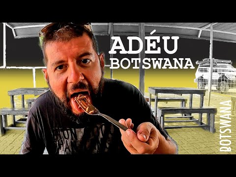 L'últim càmping salvatge a BOTSWANA! 🐘🔥 Aventura al límit - país nº16 - CAP5. BOTSWANA de ONtravelling