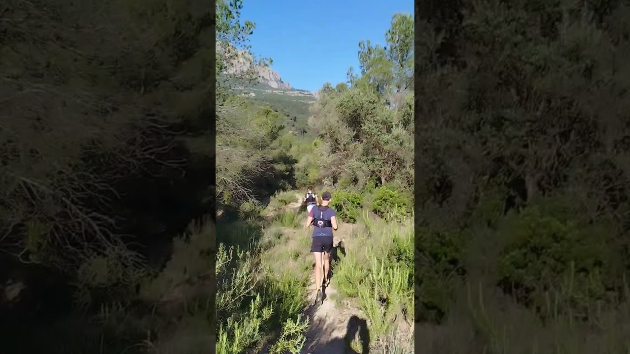 Canal de Sant Jeroni sense filtres | Montserrat de Esteve Rovira
