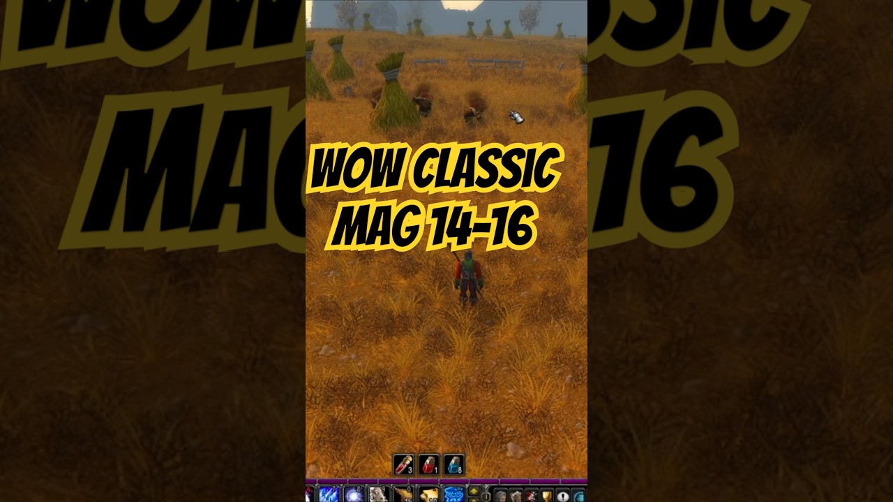 Mag nivell 14-16 de vifeGaming
