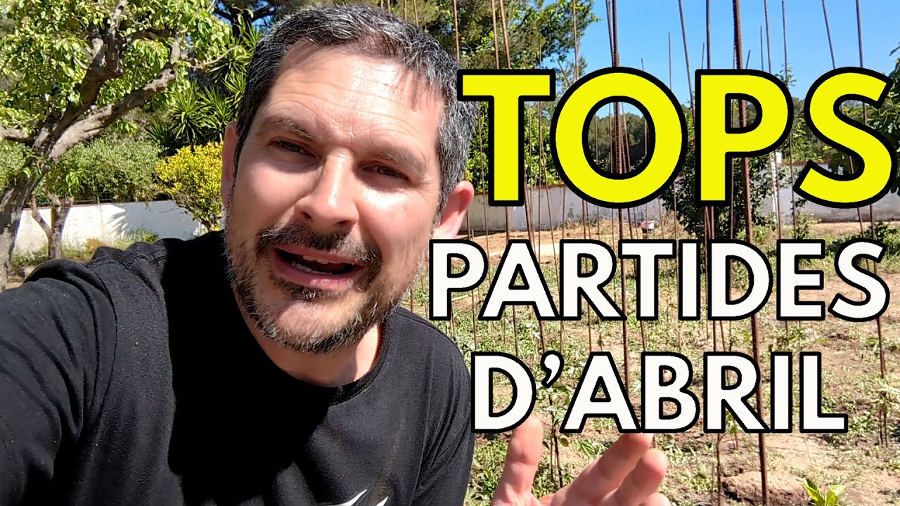 TOPS de JOCS DE TAULA JUGATS A L' ABRIL de La Taula Plana