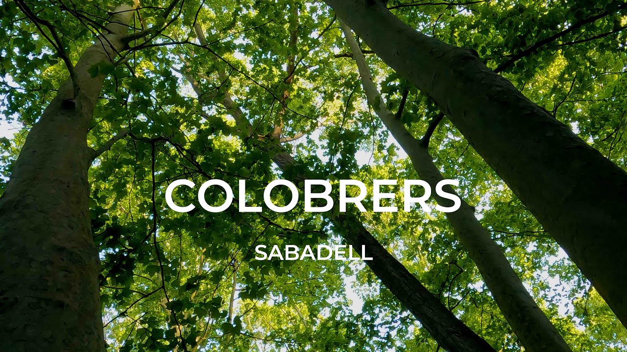 Colobrers. Sabadell. Primavera de Lluís Fernàndez López