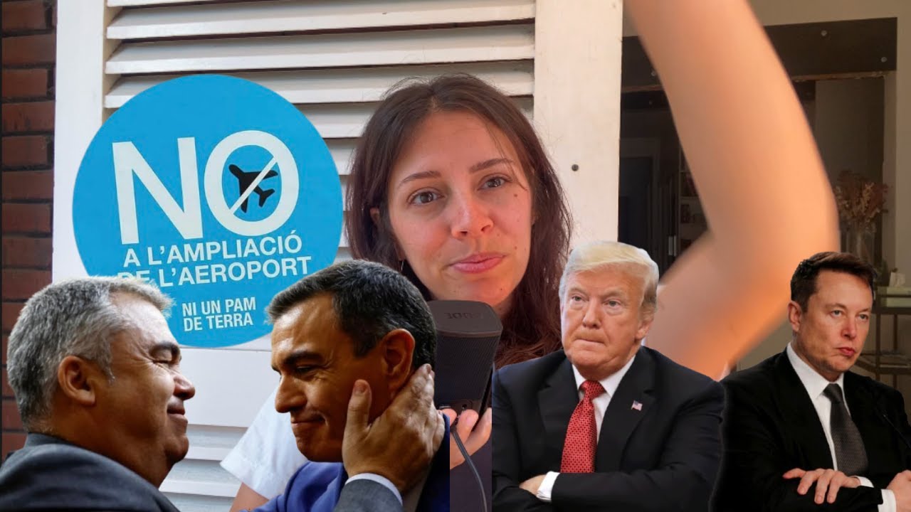 Gin aràdio XVI - Divorcis de Gina Rigol