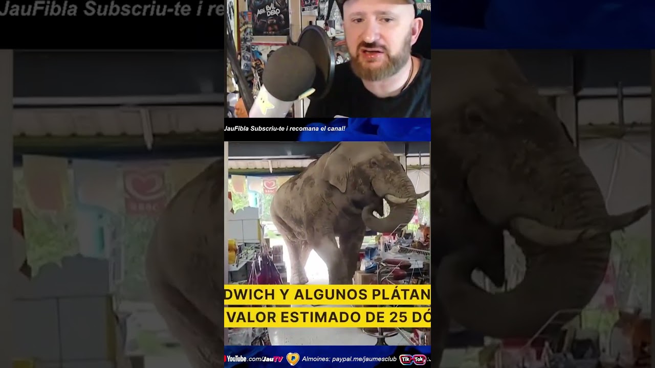L'elefant xorisso, notícia de La Vanguardia | #jaufibla on #Twitch de JauTV