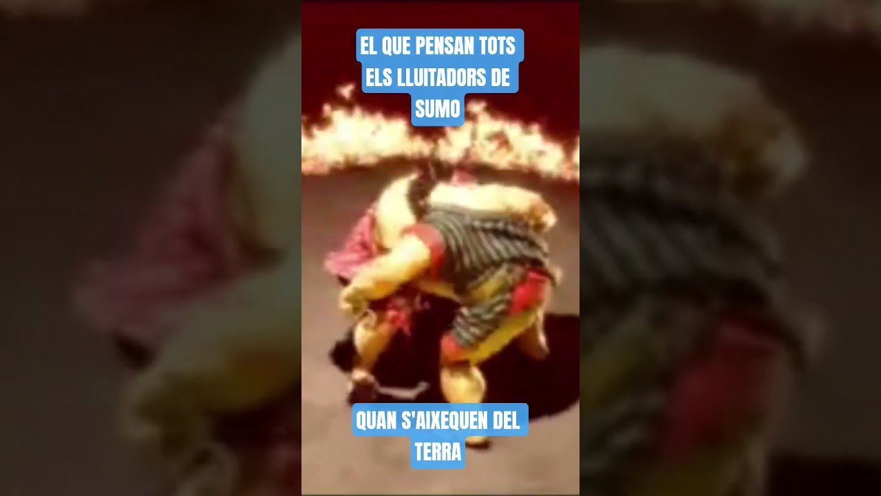 😃 Jo ho pensaria #català #streetfighter #gaming #sumo de El Moviment Ondulatori