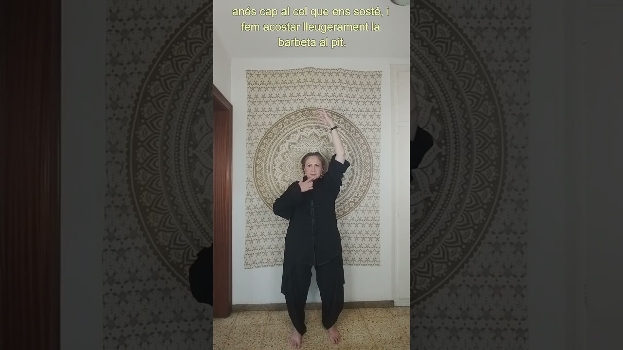 WUJI de Xamana Moon