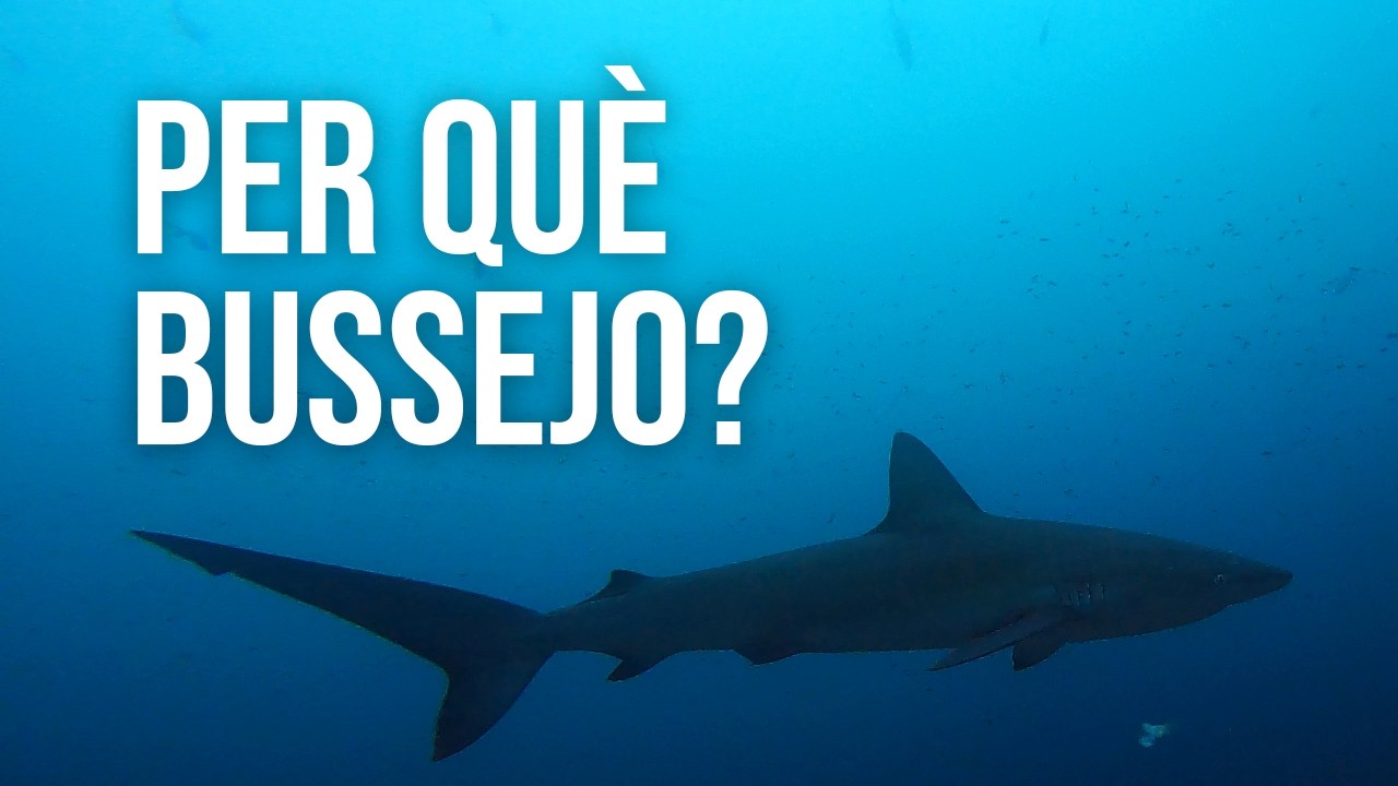 PER QUÈ BUSSEJO? de VOLA I VIU