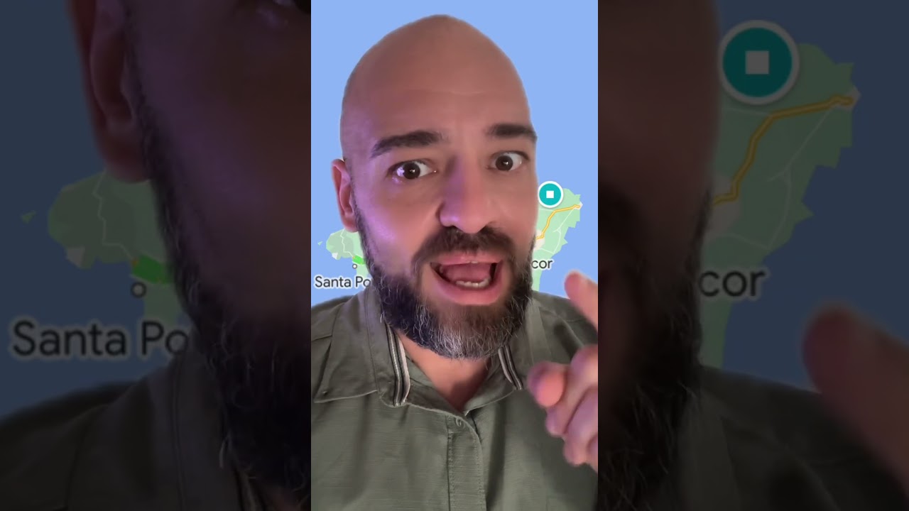 Tutorial per identificar palmessans a Ciutat de Pere J. Pastor