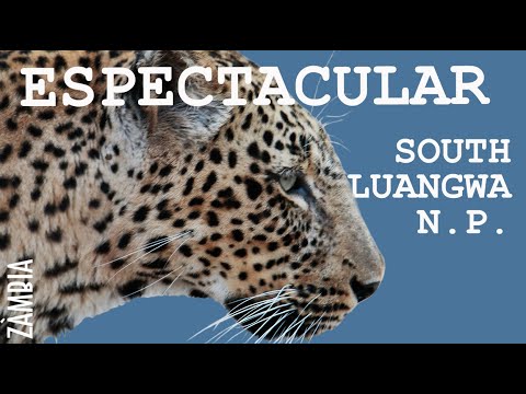 el parc MÉS BONIC! | Viatge a l'ÀFRICA en 4x4 - país nº17 - CAP7. ZAMBIA de ONtravelling