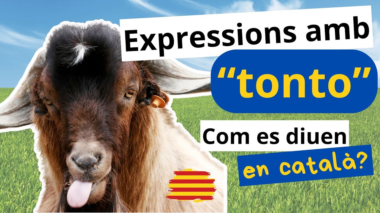 🤔 Com es diu TONTO en català? Expressions incorrectes amb la paraula "tonto" de Parlem d'escriure en català