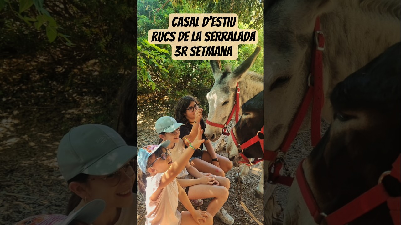 Resum excursió: Rucs de la serralada. #lacolombinabcn #casaldestiu #rucsdelaserralada de LA COLOMBINA BCN