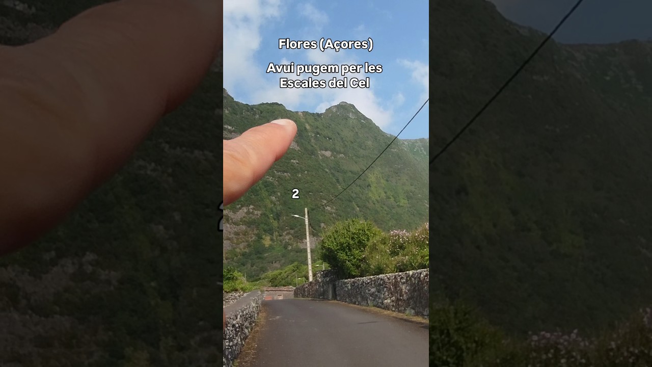Anem a tocar el Cel de Esteve Rovira