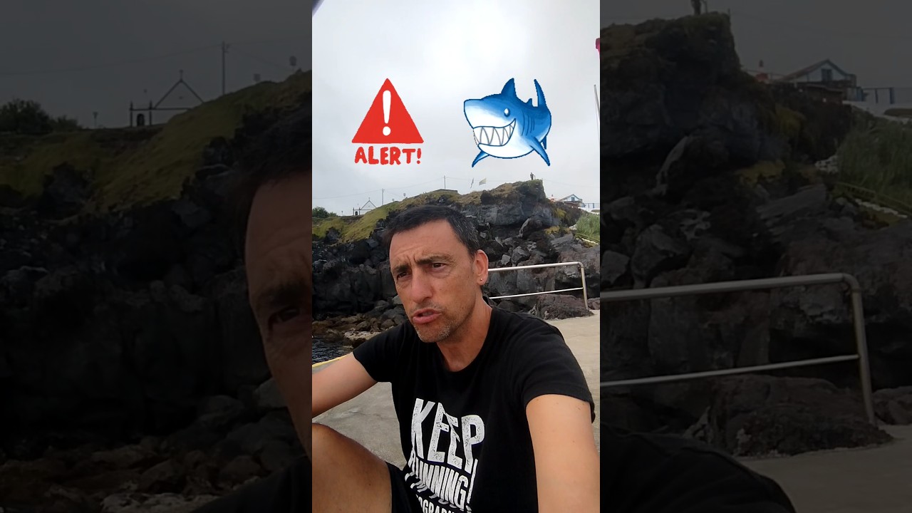Alerta taurons Açores, shark in Terceira de Esteve Rovira