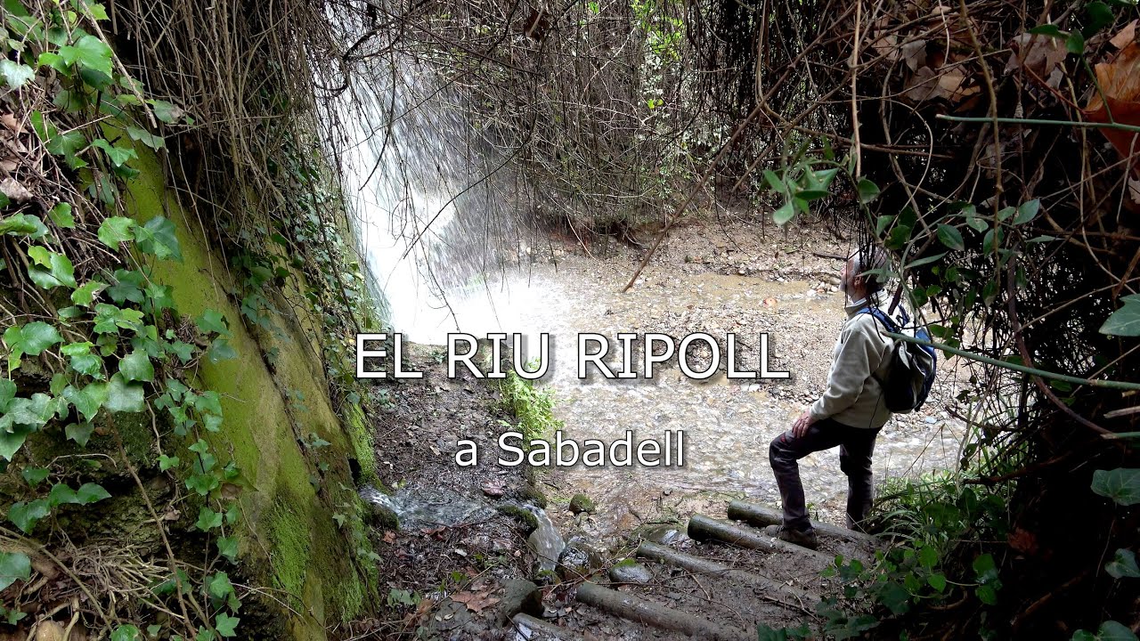 Ripoll V. Sabadell de Lluís Fernàndez López