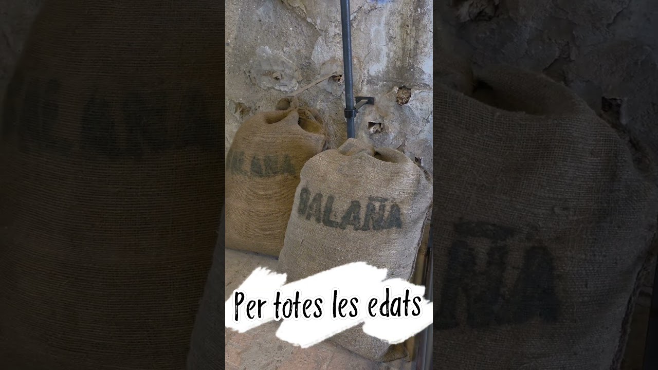 Sabies que a l'Espluga de Francoli,hi ha la més antiga de Catalunya?? #travel de Aventura de viure