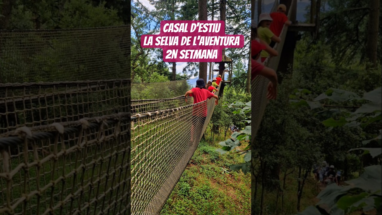 Resum: "camina descalç" excursió a La Selva de l'aventura. #lacolombinabcn #casaldestiu de LA COLOMBINA BCN