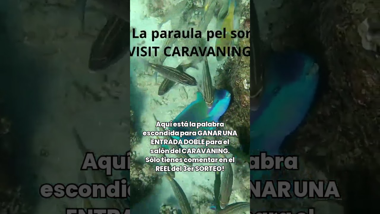 ENTRADA DOBLE per al CARAVANING #shorts de ONtravelling