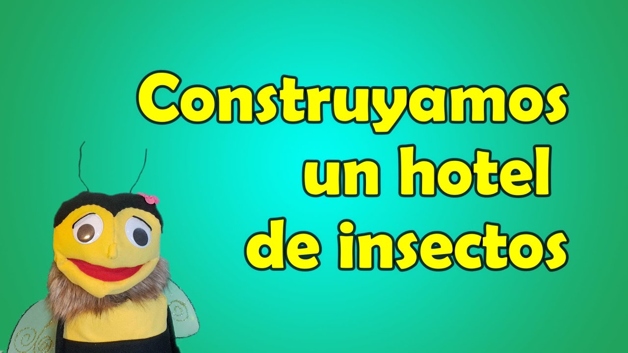 Como construir un hotel de insectos - educación ambiental con la abeja Greta de Xavier Margenat