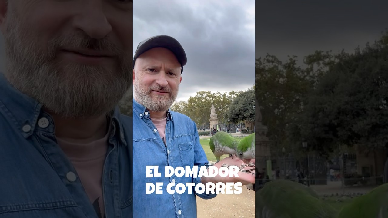 El domador de cotorres. de JauTV