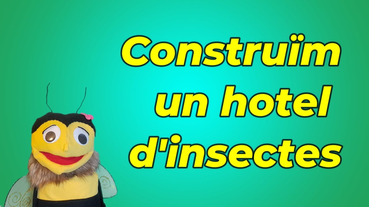 Com construir un hotel d'insectes - educació ambiental amb l'abella Greta de Xavier Margenat