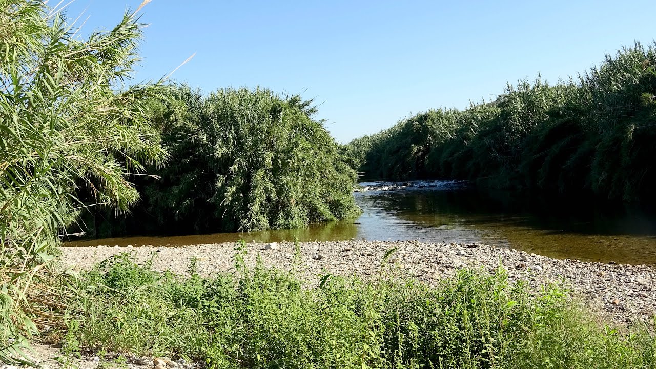 El Ripoll VII del Besòs al mar de Lluís Fernàndez López