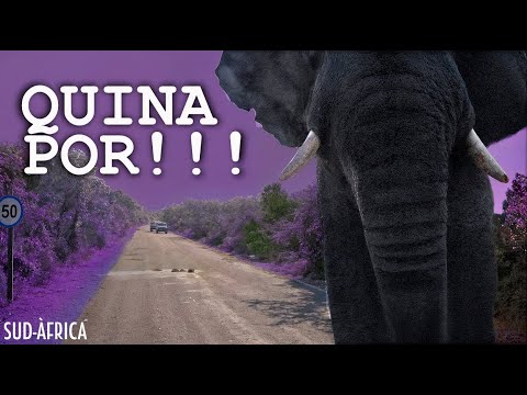 L'ENSURT DEL VIATGE | Viatge a l'ÀFRICA en 4x4 - país nº20 - CAP3. SUDÀFRICA de ONtravelling