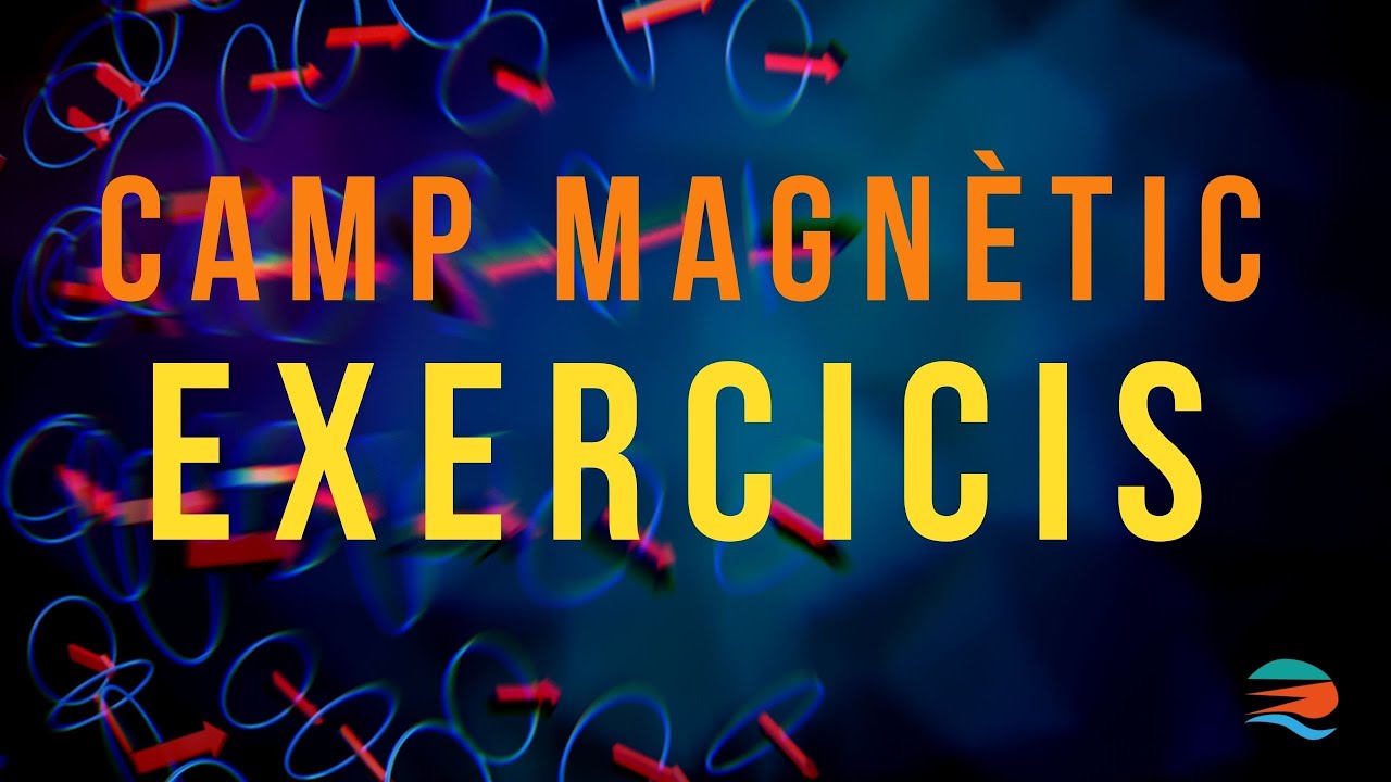 PAU JUNY 2019 MAGNETISME de Física i Química Batxillerat