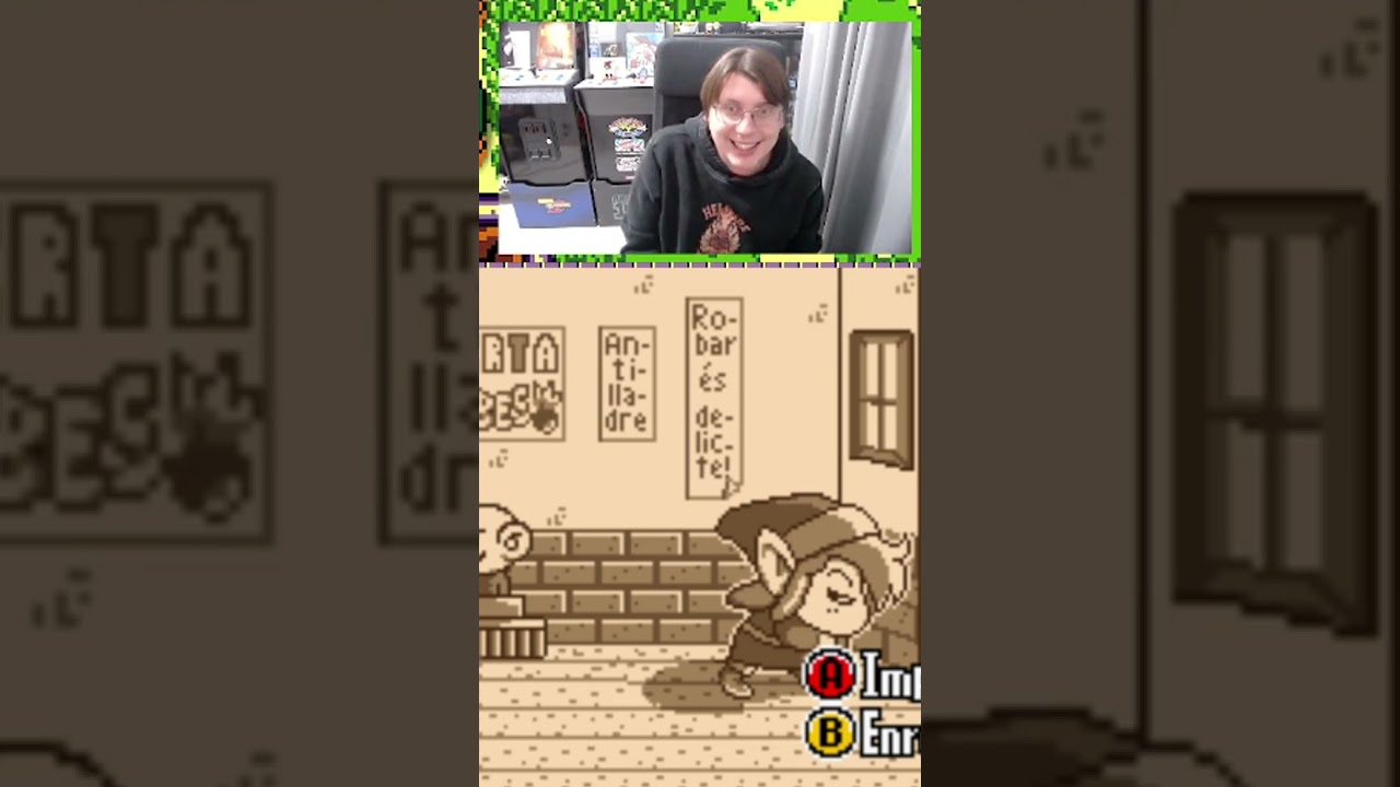 És una MERAVELLA tindre aquest joc en català!! #Videogame #Zelda #català #ZeldaLinksAwakening #tikto de El Moviment Ondulatori
