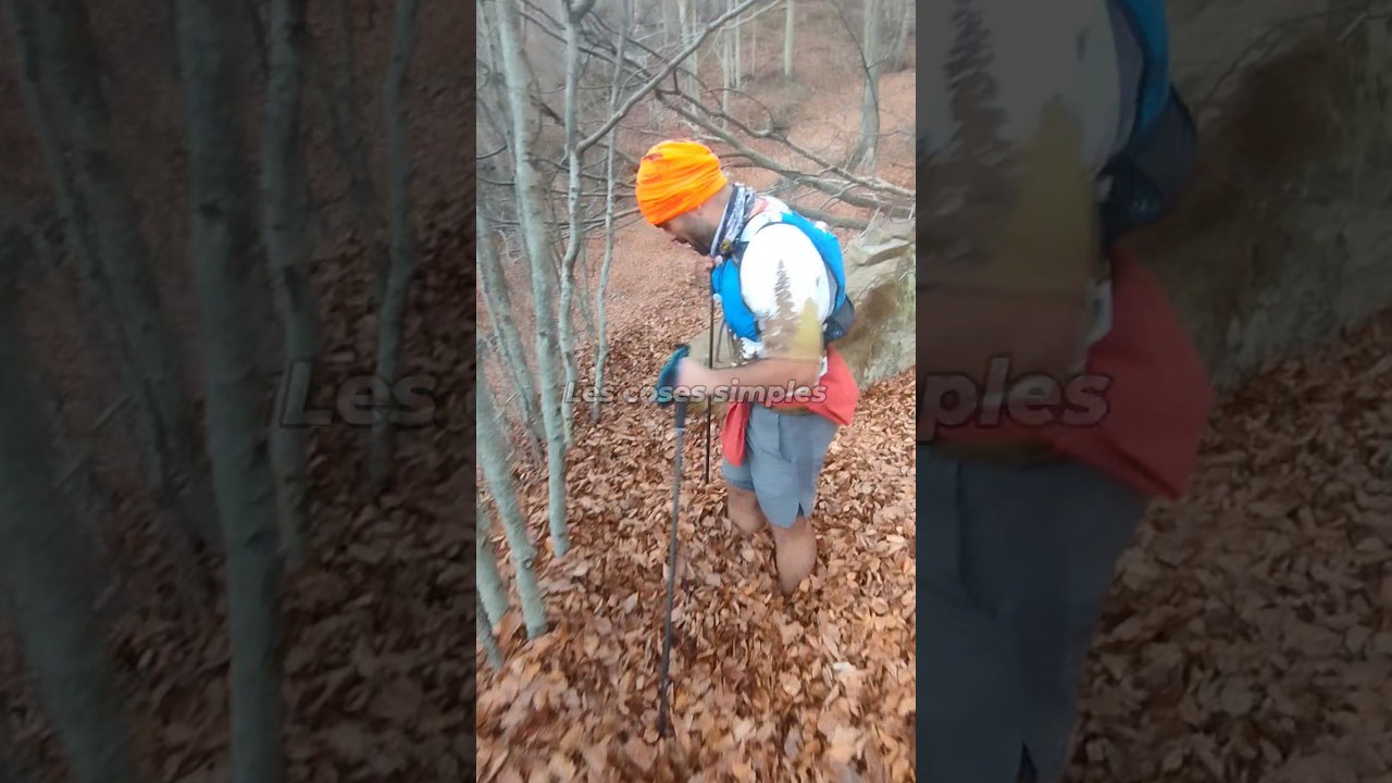 Les Coses Simples, correm pel Montseny entre fulles. de Esteve Rovira